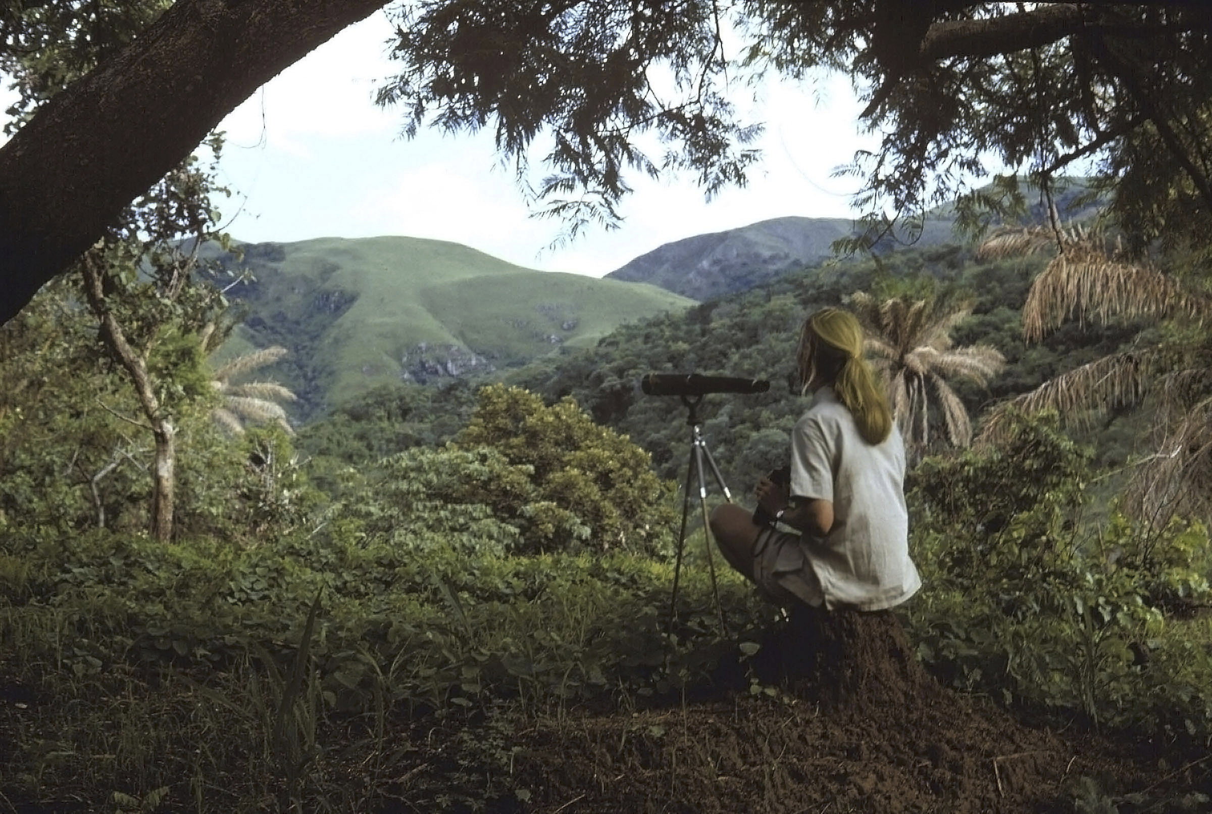 Jane Goodall