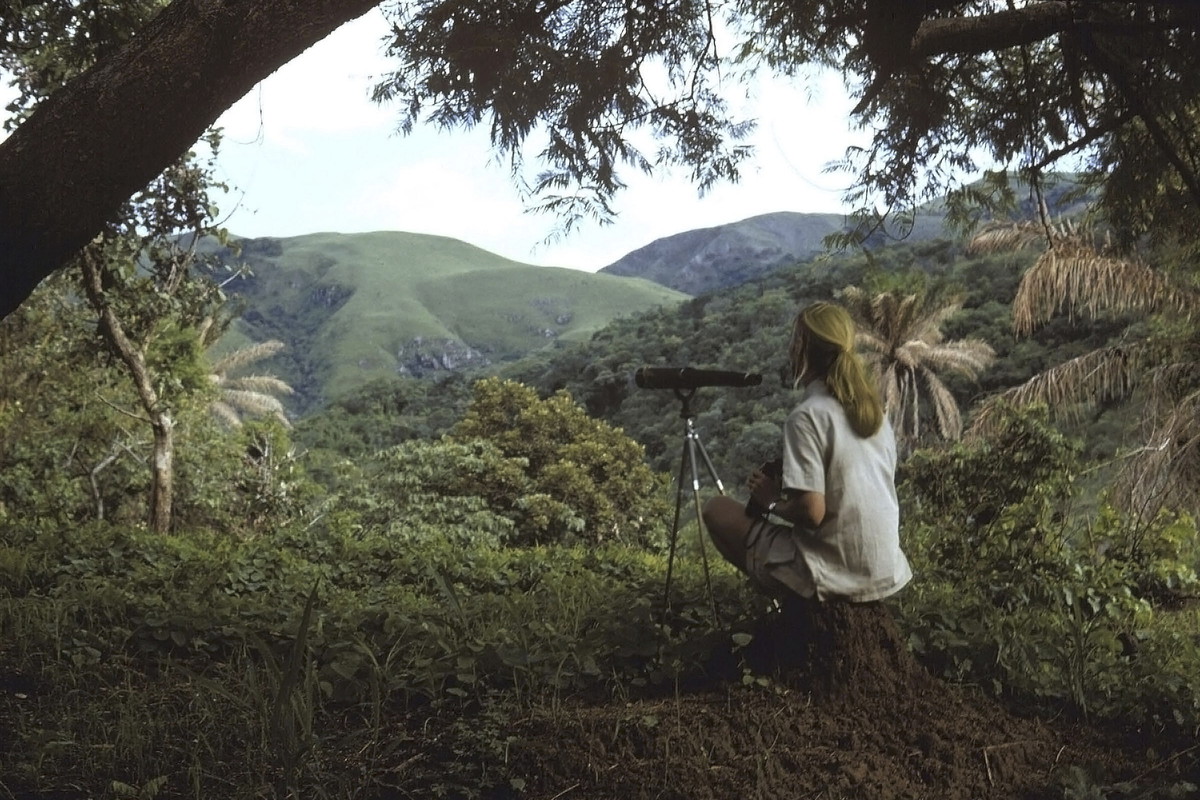 Jane Goodall