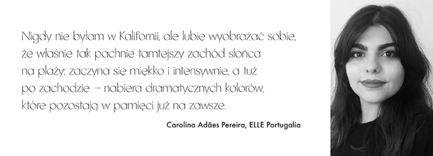 e9d6f7c7d781878ceaea5533726db360f43895d8-2d28d44