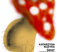 Katarzyna Kozyra. Świat wzorcowy - wystawa monograficzna artystki w IWP