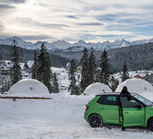 Tatraglamp