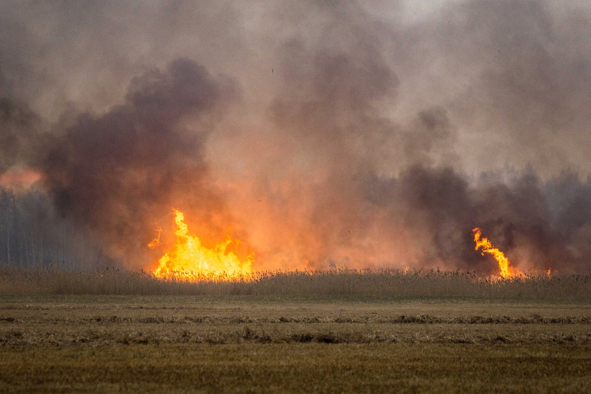 Pożar w Biebrzańskim Parku Narodowym