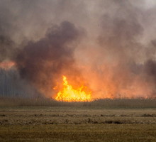 Pożar w Biebrzańskim Parku Narodowym