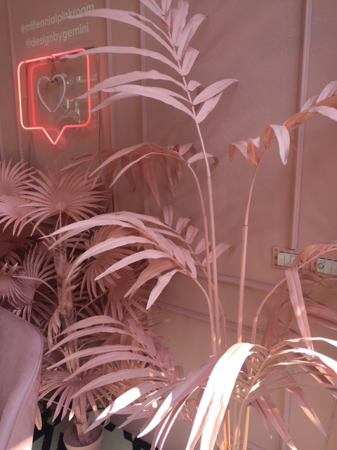 millennial-pink-room-4050051