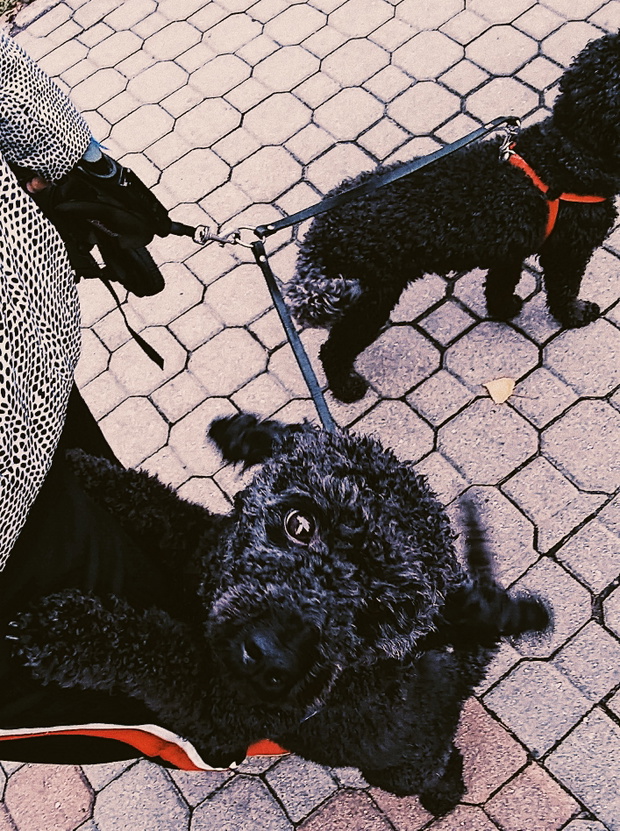 Processed with VSCO with g3 preset