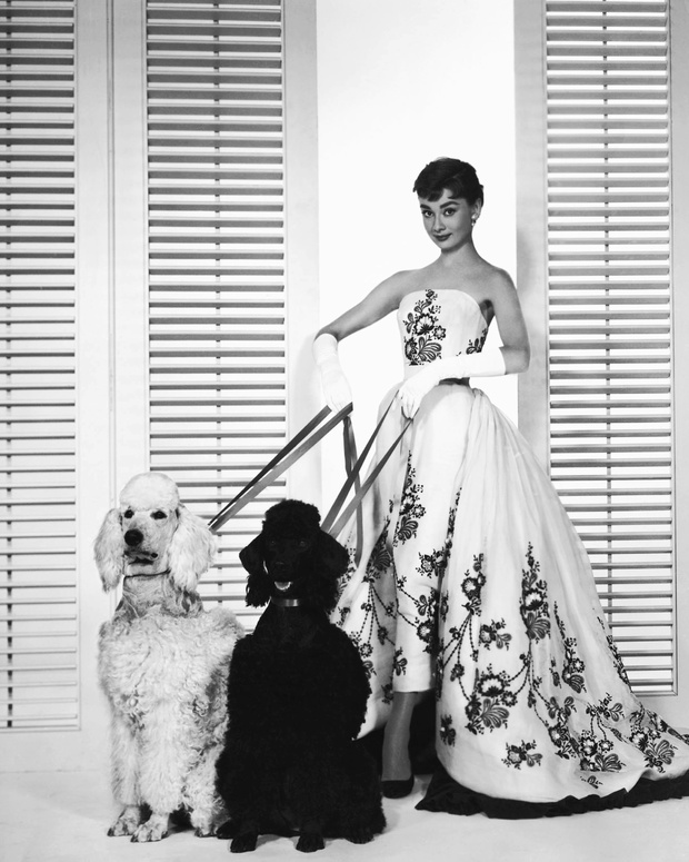 powstanie-serial-o-audrey-hepburn9-db51721