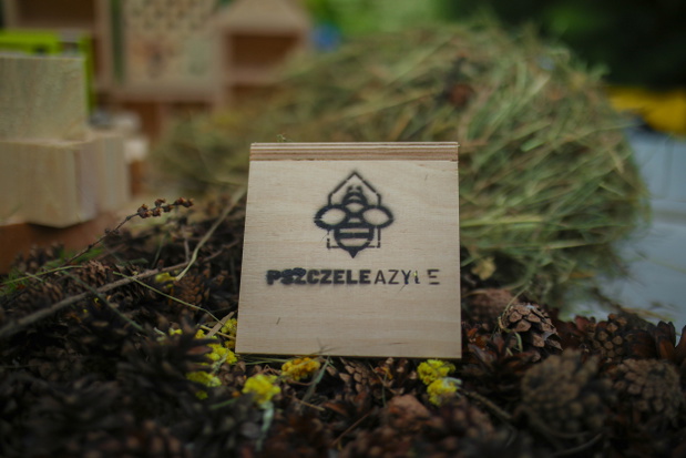 akcja-pszczele-azyle6-5ec7366