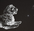 Ciemna strona każdego znaku zodiaku