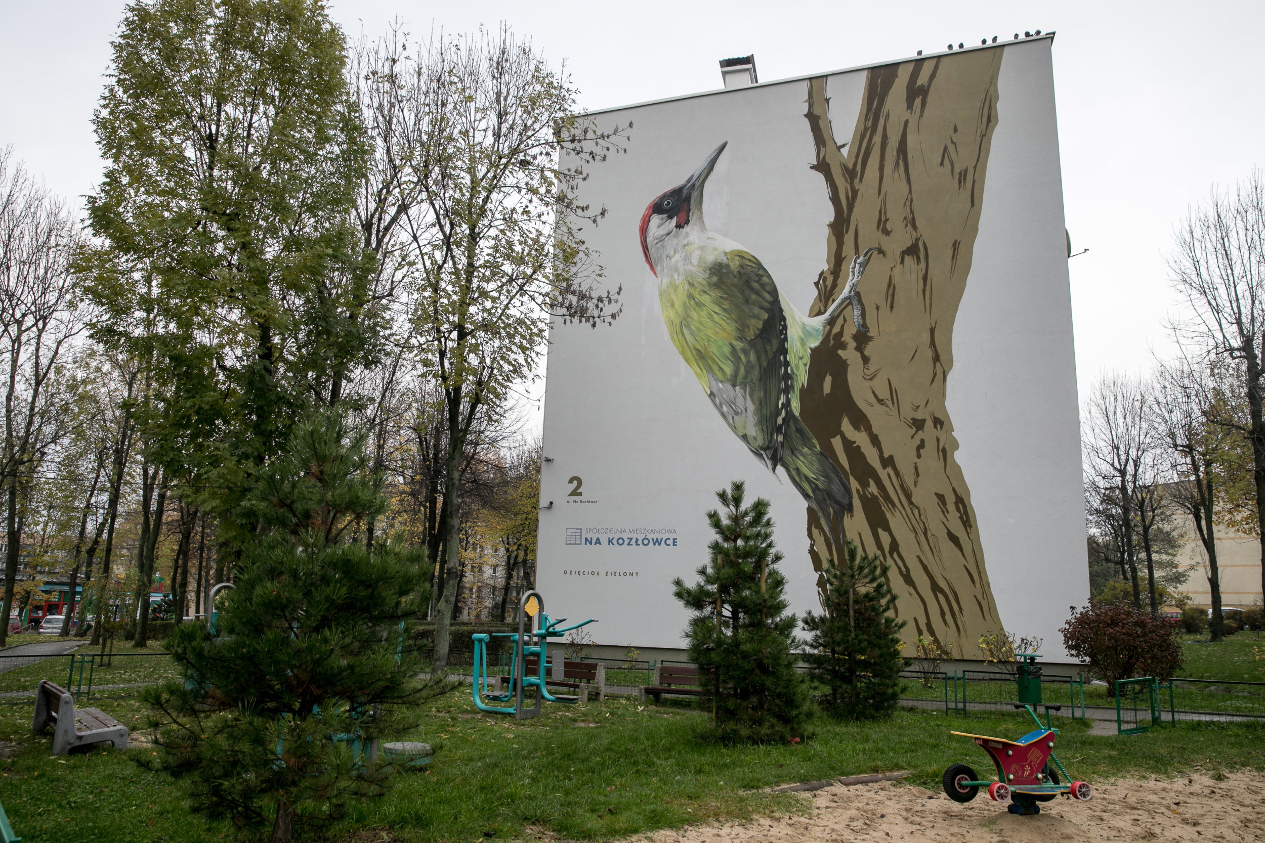 Ptasie murale, autor: Wojciech Rokosz