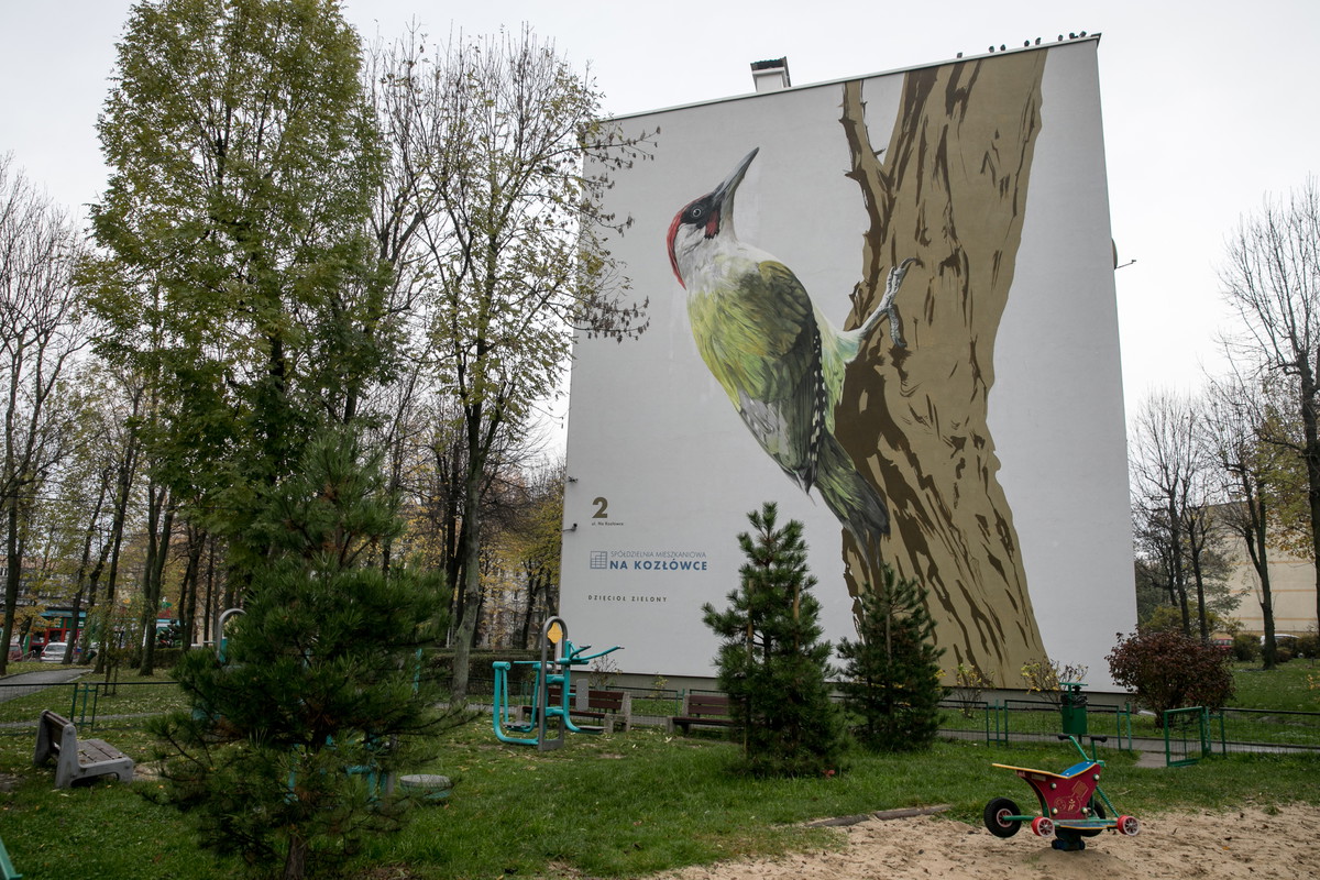 Ptasie murale, autor: Wojciech Rokosz