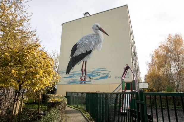 ptasie-murale-autor-wojciech-rokosz3-5e76a8c