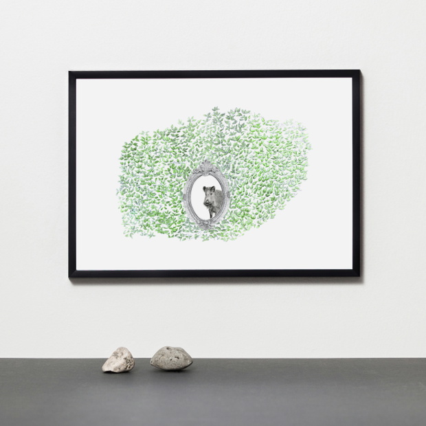 dzik-print-7914838