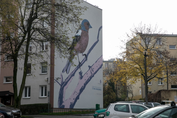 ptasie-murale-autor-wojciech-rokosz5-6805311