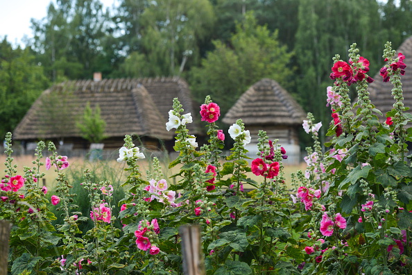 The Tour of Chopin's BirthplaceKolbuszowa's Folk Culture Park