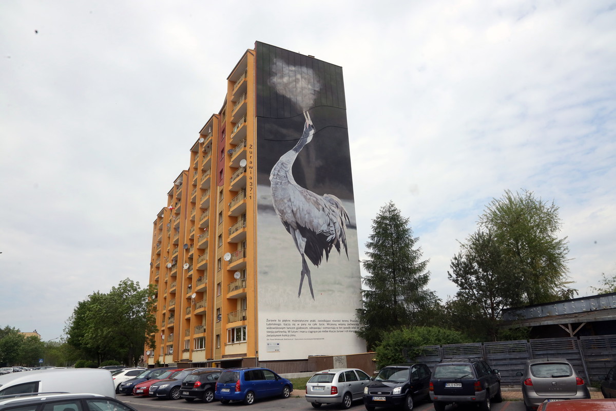 Ptasie Murale w Lubinie