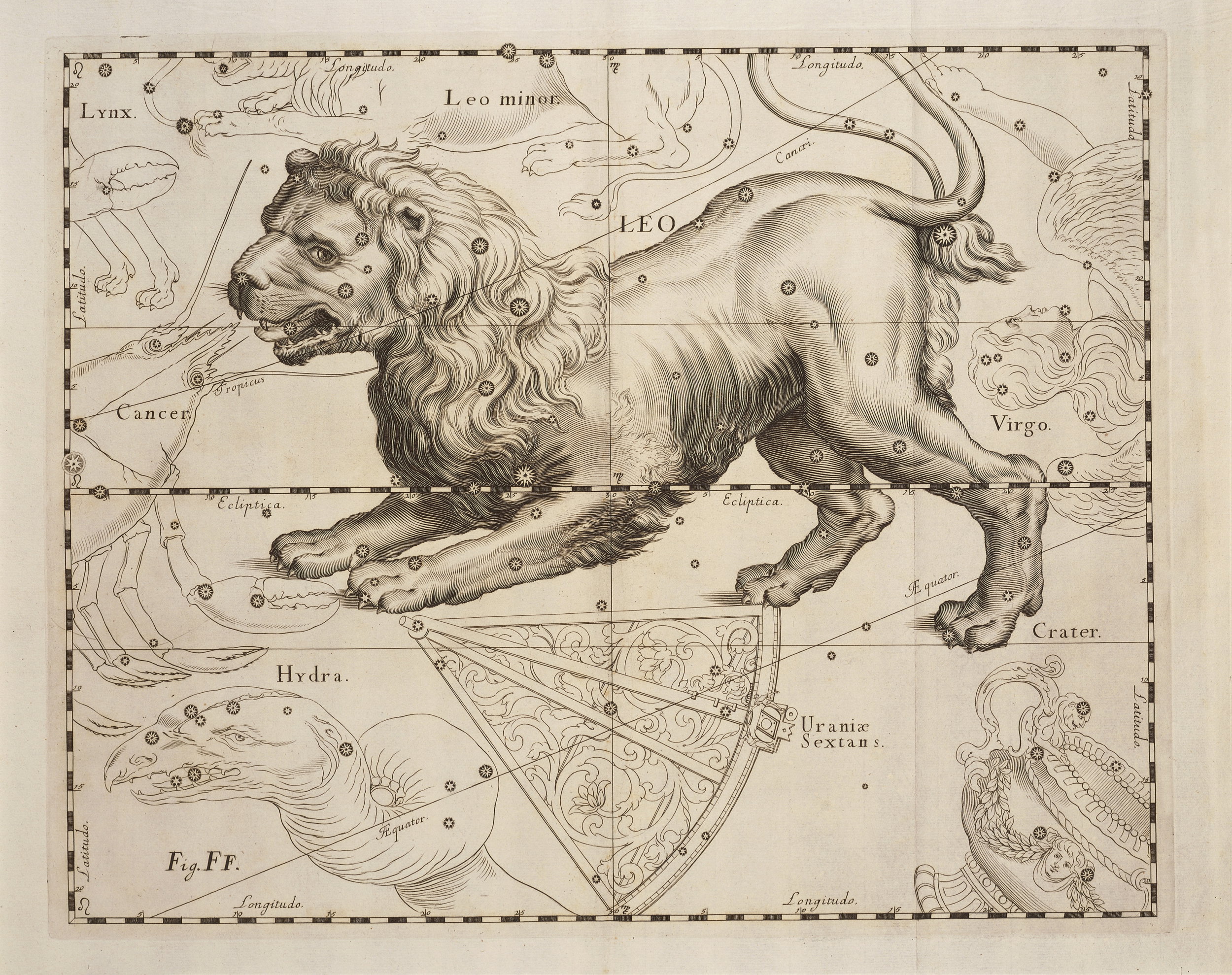 Brama Lwa to najważniejsze zjawisko astrologiczne w sierpniu. Na czym polega, do kiedy trwa i jak skorzystać z jego mocy?