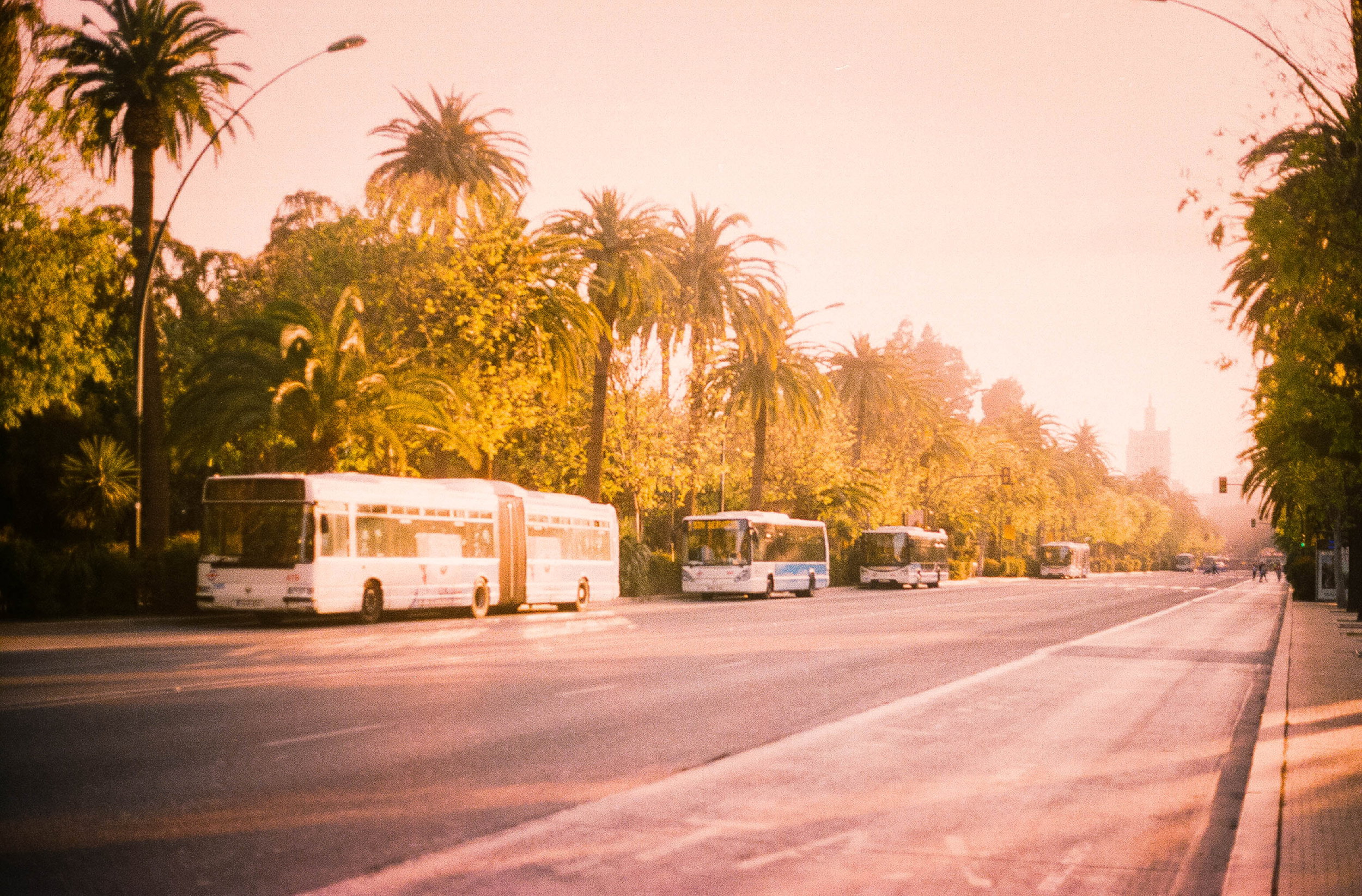 Sennik: autobus