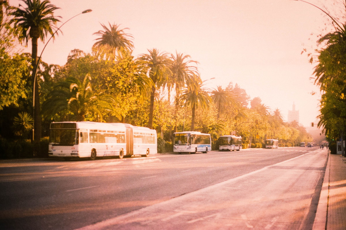 Sennik: autobus