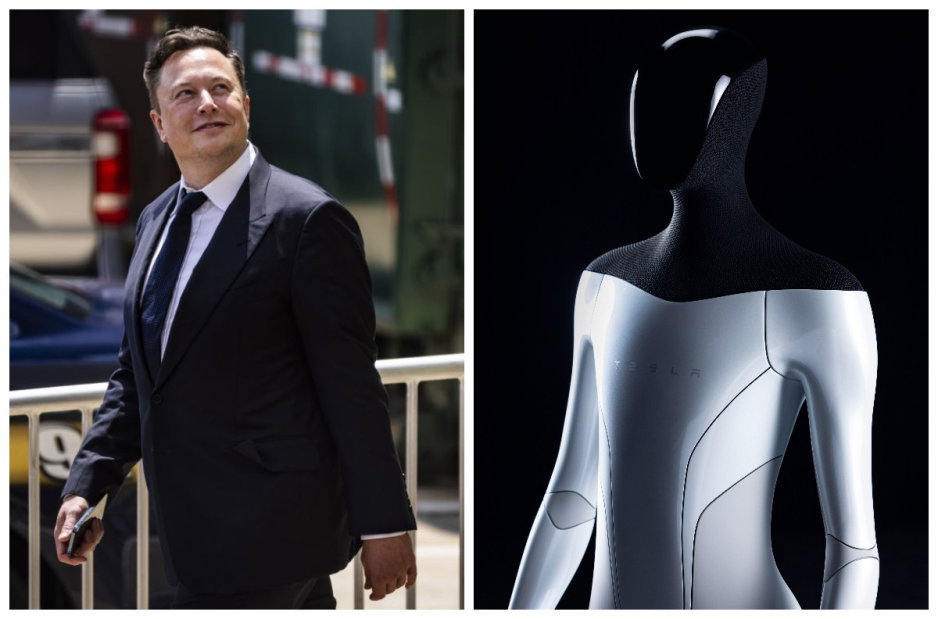 Tesla Bot
