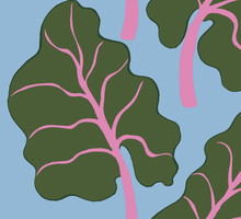 IKEA X Marimekko, BASTUA, zasłonka prysznicowa