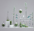 Slow beauty 2.0 - czyli nowe technologie w walce o naszą młodość i spokojną głowę