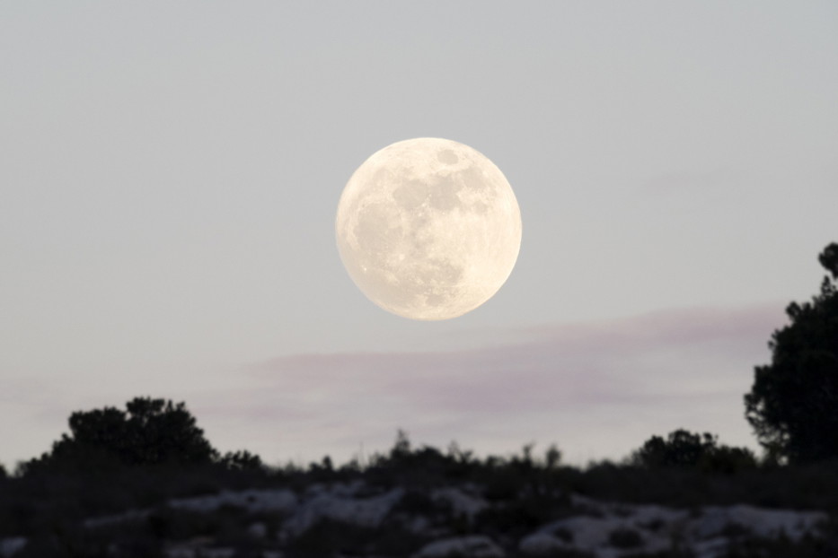Horoskop tygodniowy 2024 na 15-21 lipca. Jak pełnia księżyca w Koziorożcu wpłynie na każdy znak zodiaku?