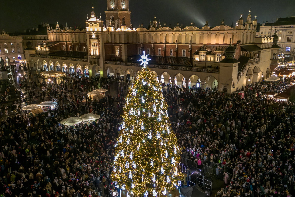 Choinka Kraków