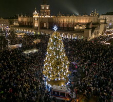 Choinka Kraków