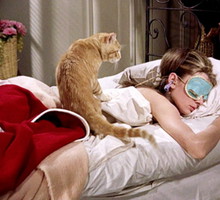 therapeutic laziness