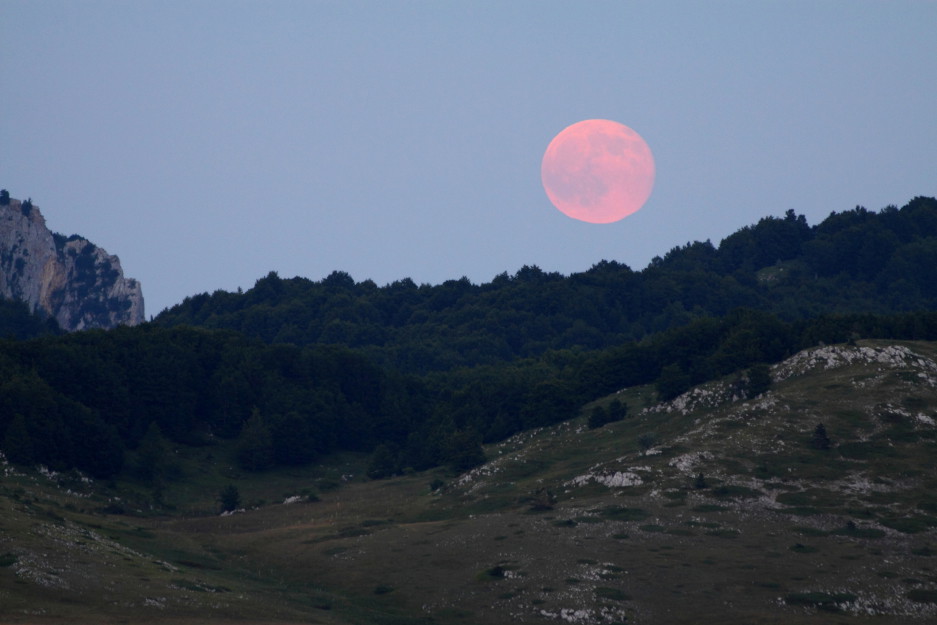 19 stycznia Słońce wchodzi w Wodnika. Te znaki zodiaku od dziś odczują największą zmianę w sferze miłości