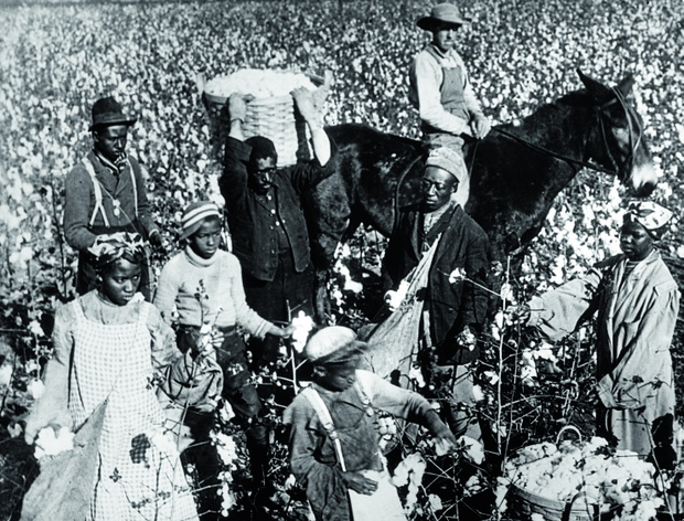 Texas Cotton Plantation