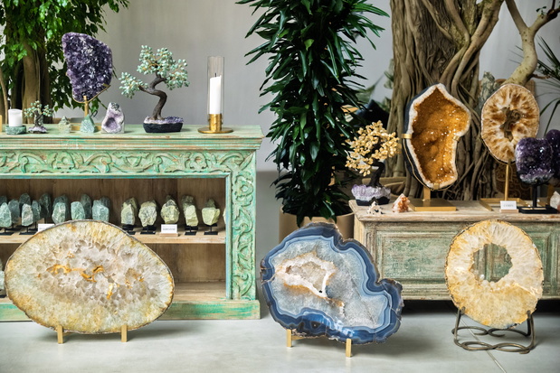 SHOWROOM_NET2