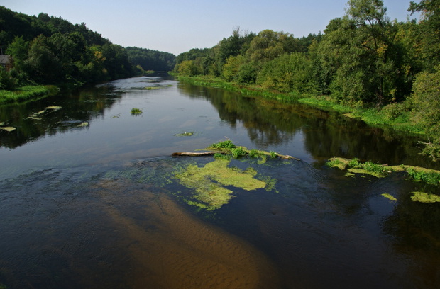 Rzeka Wkra