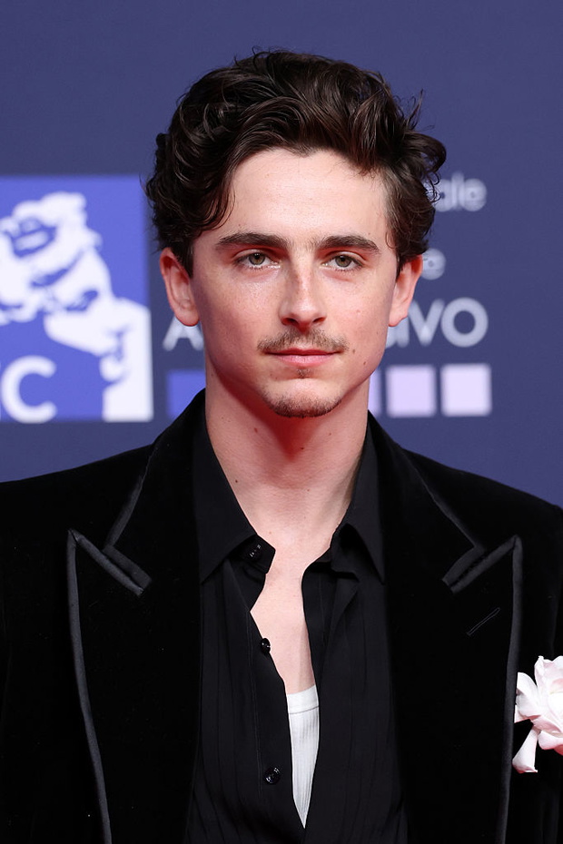 timothee chalamet