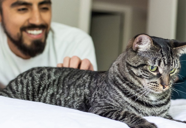 Whiskas