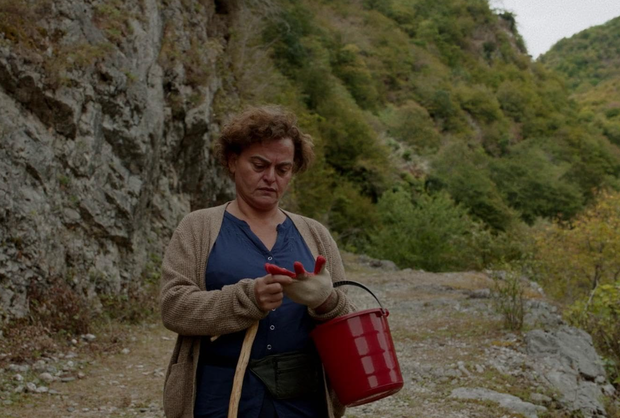 Kadr z filmu "Czarny kos, czarna jeżyna"