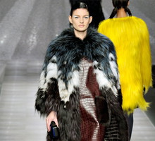Fendi AW 2012/2013