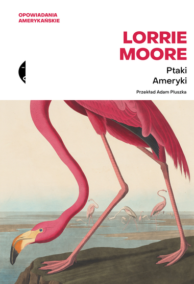 large_ptaki_ameryki_moore