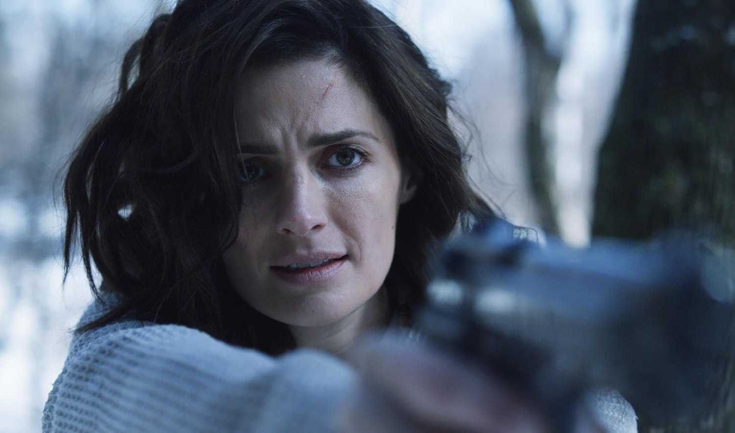 absentia crime thriller netflix serial