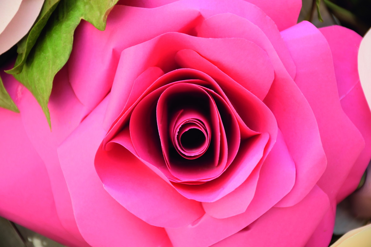 Pink flower that can be used as a female metatrix
