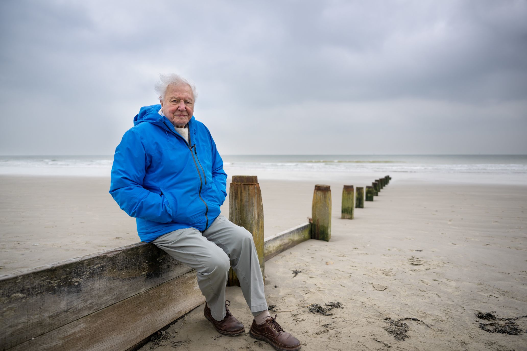 "David Attenborough: Świat oceanów"