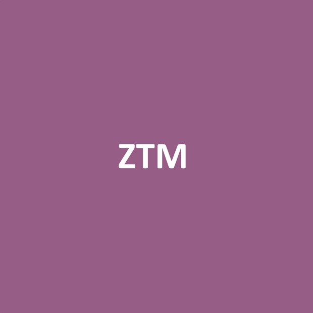 ZTM Taco Hemingway