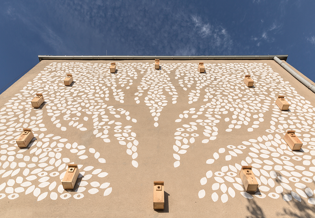Mural z budkami dla ptaków w Gdyni