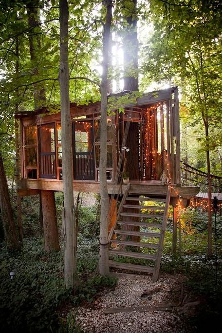 Domek na drzewie pod Atlantą, najpopularniejszy na Airbnb