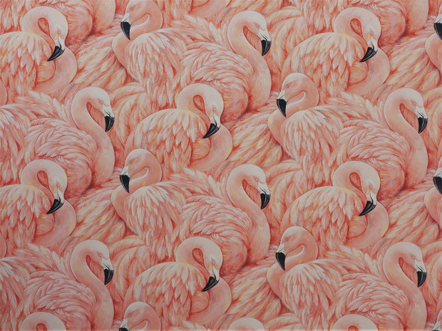 Tapeta Flamingos, Albany Maison Wallpaper Collection