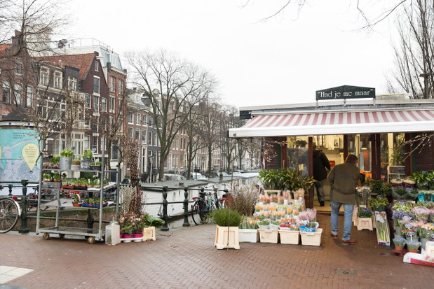 TravELLE Guide: co zobaczyć w Amsterdamie?