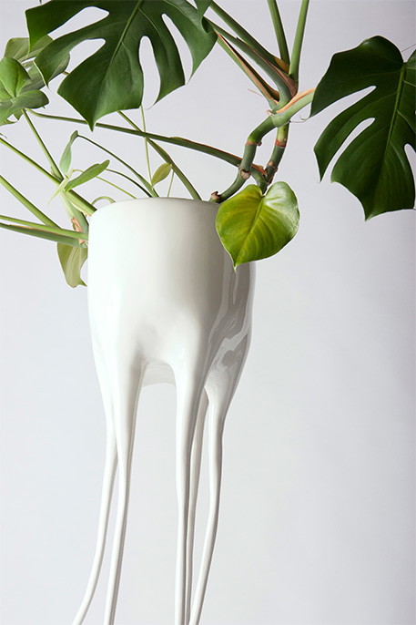 Natura vs technologia w projekcie Monstera