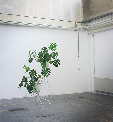 Natura vs technologia w projekcie Monstera