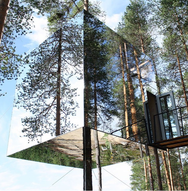 Tree Hotel - hotel z pokojem na drzewie