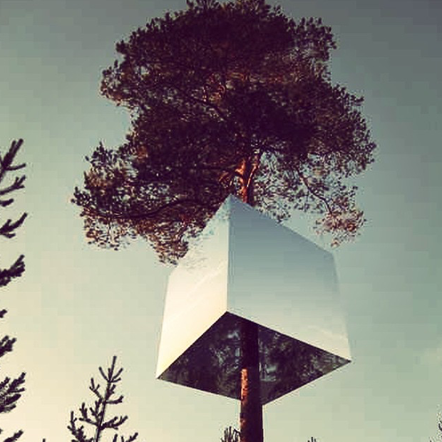 Tree Hotel - hotel z pokojem na drzewie